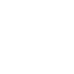차원 전문가